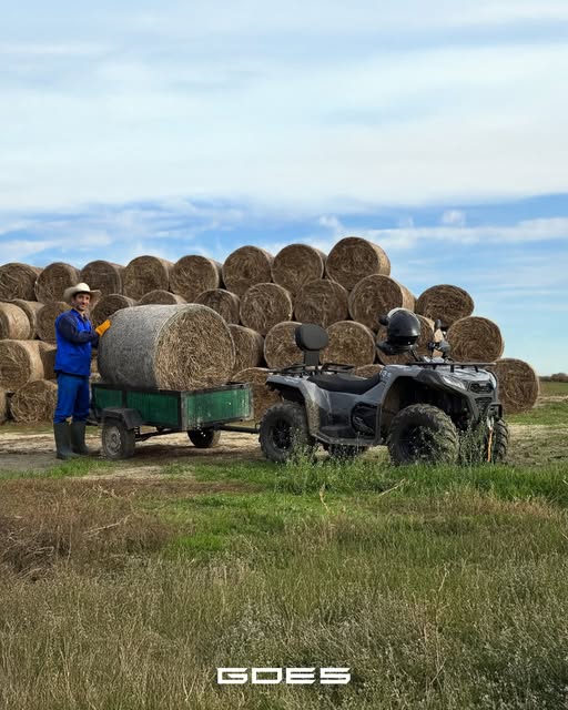 581214936_122144106578406644_7100666163479899739_n